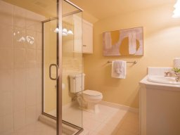 Historic House Renovation - Saratoga